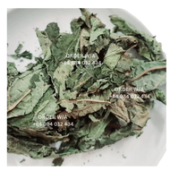Feuilles de papaye séchées en sachets sous vide, qualité supérieure, livrées à votre porte