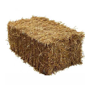 Ballots originaux de paille d'orge pour l'alimentation des animaux au prix de gros bon marché - Product Image 1