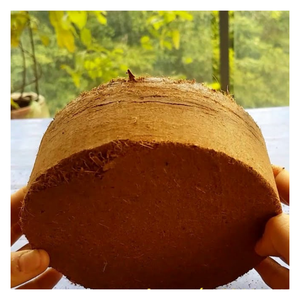 Balle de tourbe de coco compressée écologique de 5kg avec une capacité de rétention d'eau élevée, parfaite pour l'agriculture biologique et le rajeunissement du sol - Product Image 3