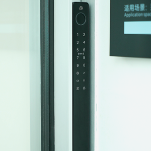<span class=keywords><strong>Porte</strong></span> coulissante en verre surdimensionnée ALUFRONT Apex 180 avec <span class=keywords><strong>seuil</strong></span> encastré pour des projets intérieur-extérieur fluides - Product Image 6