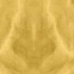 100% Varsity Jacket Impresión personalizada Chaqueta de manga larga para hombre Hombres Liso en blanco Varsity Letterman Chaquetas para hombres - Product Image 6