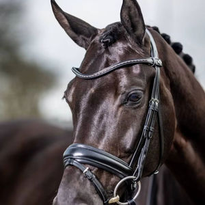 Brida de caballo de Cuero al por mayor, estilo inglés occidental personalizado, brida de equitación de cuero genuino, proveedor mayorista, tendencia 2025 - Product Image 1