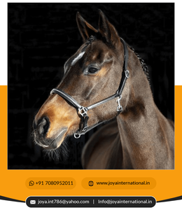 Producto personalizado de cuarzo, no perenne - Product Image 3