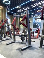 Appareil de musculation professionnel pour salle de sport, presse pectorale inclinée assise à charge de plaques en acier, équipement d'exercice pectoral décliné pour l'entraînement des bras