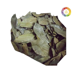 Premium Dried Soursop Leaves From Vietnam Dried Soursop Leaves For Graviola <b>Tea</b> Preparation And Blending - Product Image 1