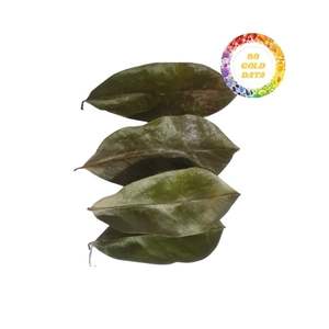 Feuilles de graviola au corossol séchées naturelles du Vietnam soigneusement sélectionnées et séchées au soleil pour une qualité supérieure - Product Image 6