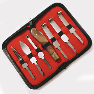 Les fabricants professionnels ont fabriqué des kits d'instruments vétérinaires en acier inoxydable Kit de couteau à sabot d'instruments vétérinaires de haute qualité - Product Image 3