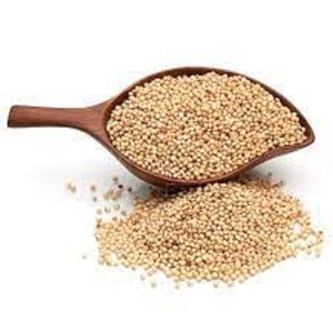 Sorgho blanc de qualité supérieure, naturellement sucré et séché, très nutritif, provenant des Pays-Bas, avec une durée de conservation de 24 mois - Product Image 1