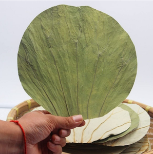 Herbe culinaire polyvalente en poudre de feuilles de lotus séchées vietnamiennes de haute qualité pour la cuisson du thé directement de source agricole - Product Image 6