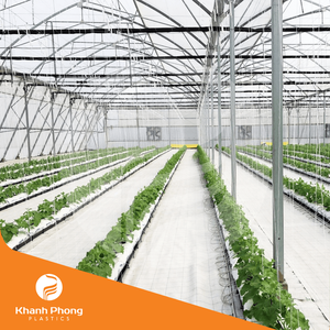 Film serre pour pépinières de semis Protection UV et résistance aux intempéries Avec dimensions de rouleau standard - Product Image 6