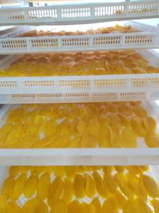 Mangue séchée sans sucre provenant du VIETNAM à très bas prix - Product Image 3