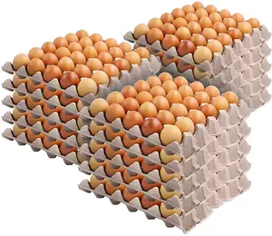 Ovos de galinha orgânicos certificados de alta qualidade, 100% ovos de galinha/frango fertil