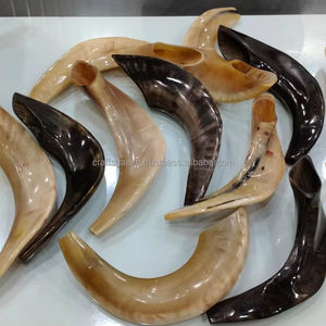 ขายเขาสัตว์ชอฟาร์ |   เขาแกะทำมือลายปลาเพ้นท์  สำหรับดื่ม  นำเข้าจากอินเดีย  ขายส่งจำนวนมาก - Product Image 5