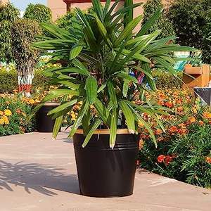 Salon Décoration Vase À Fleurs En Métal Fabricant En Gros Conception À La Main En Laiton Vase À Fleurs En Métal - Product Image 1