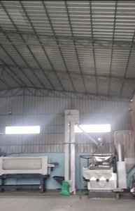 Salvia seca egipcia Calidad superior ISO 22000 Certificado FD Estándar europeo seco para el mercado global - Product Image 4