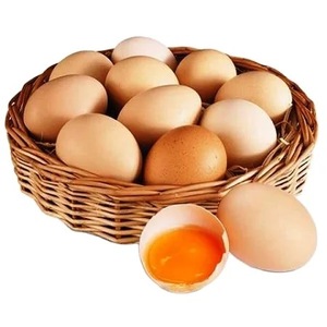 Huevos Frescos de Gallina Marrón al Mejor Precio, Empacados Cuidadosamente con Alta Calidad de Exportación para Uso Agrícola - Product Image 6