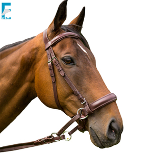 Réglable 3m Halters Cheval 2024 Équipement D'équitation Halter Cheval Bride Avec Bit Et Bride Fixe Ceinture Offre Spéciale - Product Image 6