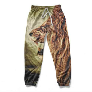 Hombres gimnasios Fitness ropa deportiva sublimación pantalones de chándal hombres Casual Hip Hop Streetwear transpirable sublimación pantalones de chándal - Product Image 2