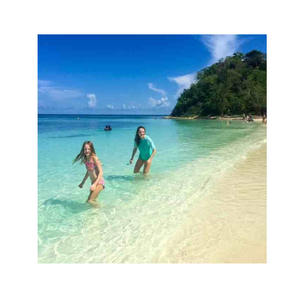 Unbeatable Rates for Large Quantities of Durable Beech <b>Logs</b> for Woodworking Projects - Product Image 4