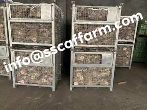 Palette en métal en acier bleu moderne avec des échafaudages de capacité de maille 80kg conception durable et élégante - Product Image 2