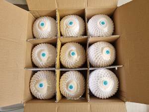 Cocos frescos tropicales de Vietnam, cosecha diaria y exportación rápida - Product Image 4