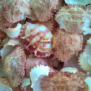 Shell de crabe séché entier-Shell de crabe séché pour la nourriture farcie - Product Image 3