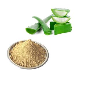 ผงสารสกัดจากรากว่านหางจระเข้บริสุทธิ์และเป็นธรรมชาติ100% พรีเมี่ยม - Product Image 1