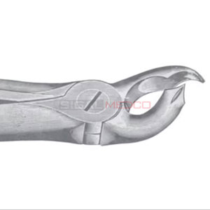 Fig. 26 Fórceps de extracción de dientes de diferentes tamaños Instrumentos médicos dentales Precio al por mayor Acero inoxidable - Product Image 2