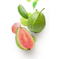 Best Verkopende Verse Guave Groothandelsprijs Topkwaliteit Vietnamese Agrarische Producten