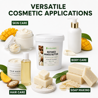 Beurre de mangue raffiné désodorisé : Matière première standard pour les formulations d'émulsions lisses