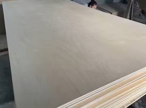 Contrachapado de Abedul para la Fabricación de Muebles |   Pegamento E0 E1 |   Núcleo Estable |   Proveedor OEM para el mercado de la UE, fábrica en Vietnam - Product Image 5