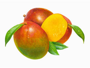 Số lượng lớn mua chất lượng lớn nhất tinh khiết & tự nhiên Xoài cao cấp 100% tươi xoài/Vàng xoài xuất khẩu - Product Image 6