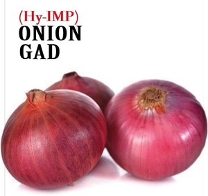 Semillas Híbridas de Cebolla GAD F1 - Product Image 1