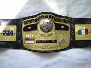 Cinturones de campeonato de lucha libre Trofeos Medallas y premios el símbolo definitivo de Victoria y excelencia Cinturones de Campeonato - Product Image 6