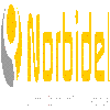 NORBIDEL logo