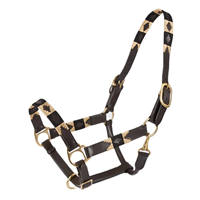 Harnais de cheval professionnel de qualité supérieure pour l'équitation en plein air, réglable, en PP durable, personnalisable en plusieurs couleurs, acceptant la personnalisation pour les chevaux