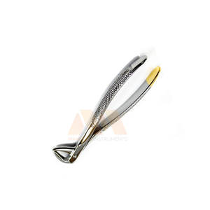 Fórceps de Extracción Dental, Patrón Inglés, Acero Inoxidable de Grado Médico, Fórceps Premium para Extraer Dientes - Product Image 4