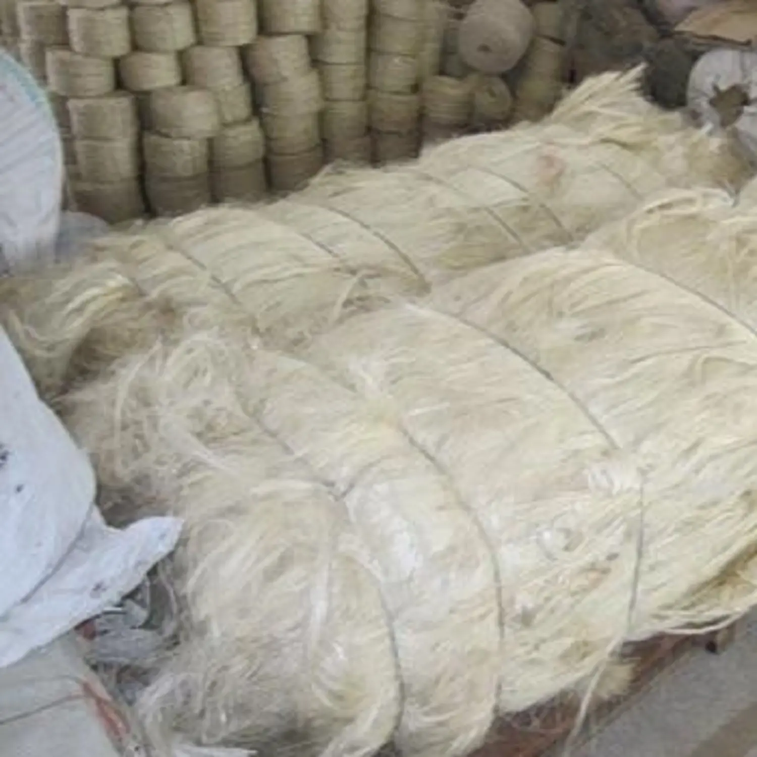 Natural white sisal fibre /UG grade sisal fibre for Gypsum Board for sale.