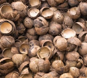เปลือกมะพร้าวแข็งในรูปแบบทั้งหมดและบดสำหรับการผลิตเชื้อเพลิงพลังงานและงานฝีมือ - Product Image 2