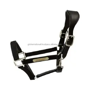 Stylish Fancy Design anatomical leather horse halter with personalized brass name plate & adjustable nickel hardware