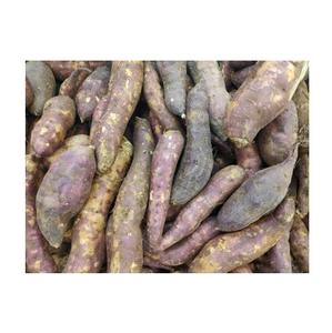 Ñames Blancos Frescos Orgánicos de Alta Calidad para Uso Agrícola, Precio Económico, Fabricante de Alemania, Exportaciones a Todo el Mundo - Product Image 5