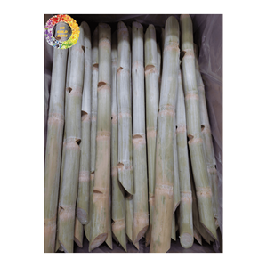 Caña de azúcar congelada de Vietnam Mejor para la extracción de jugo Sabor natural puro Capacidad de exportación global Alta calidad y mejor precio - Product Image 6