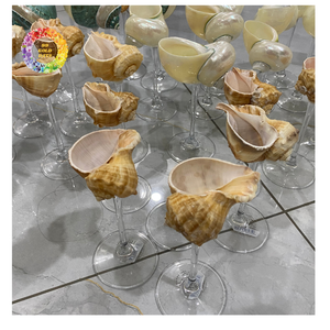 Trendy Shell Cup Tasse de service à cocktail naturel faite à la main pour les stations balnéaires Bars Événements OEM Prêt à l'exportation - Product Image 5