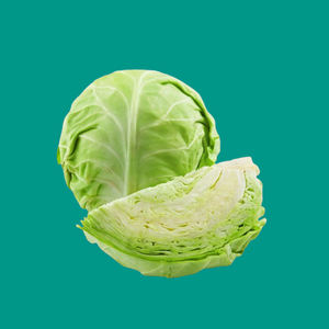 fresh green cabbage