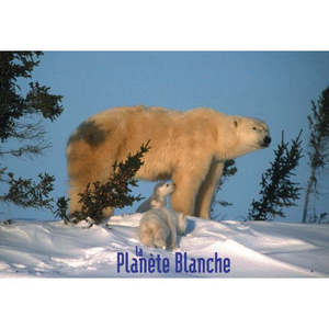 Tarjeta postal con diseño de planeta blanco y elegante estilo de letras impresas para saludos, días festivos, cumpleaños, bodas, material de papel - Product Image 1