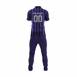 Uniformes de Cricket Sublimados Personalizados de Poliéster Transpirable de Alta Calidad con Número de Jugador Único y Logotipo Impreso para Pakistán y EE. UU. 2026 - Product Image 3