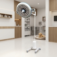 Lampe d'opération LED sans ombre pour vétérinaires, 160000LUX, lampe d'examen mobile pour clinique vétérinaire, hôpital pour animaux, chirurgie vétérinaire
