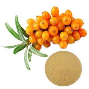 Extracto Puro de Espino Amarillo en Polvo, Antioxidante Natural, Suplemento para Adultos, Energía, Apoyo Inmunológico, Crecimiento del Cabello, Apoyo al Sueño - Product Image 2