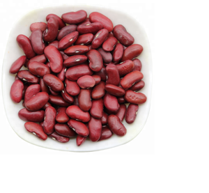 Frijoles Rojos de Calidad con Color Rojo Natural, Alto Contenido de Fibra, 60% de Proteína, Empaque a Granel Seco - Product Image 4
