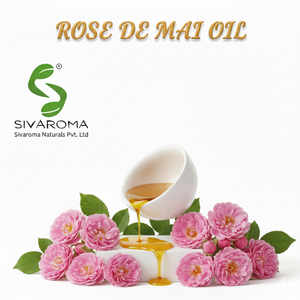 Huile essentielle de rose de Mai 100% pure de qualité supérieure certifiée GMP, distillée à la vapeur, pour les huiles parfumées, les bases cosmétiques, aromatiques - Product Image 4